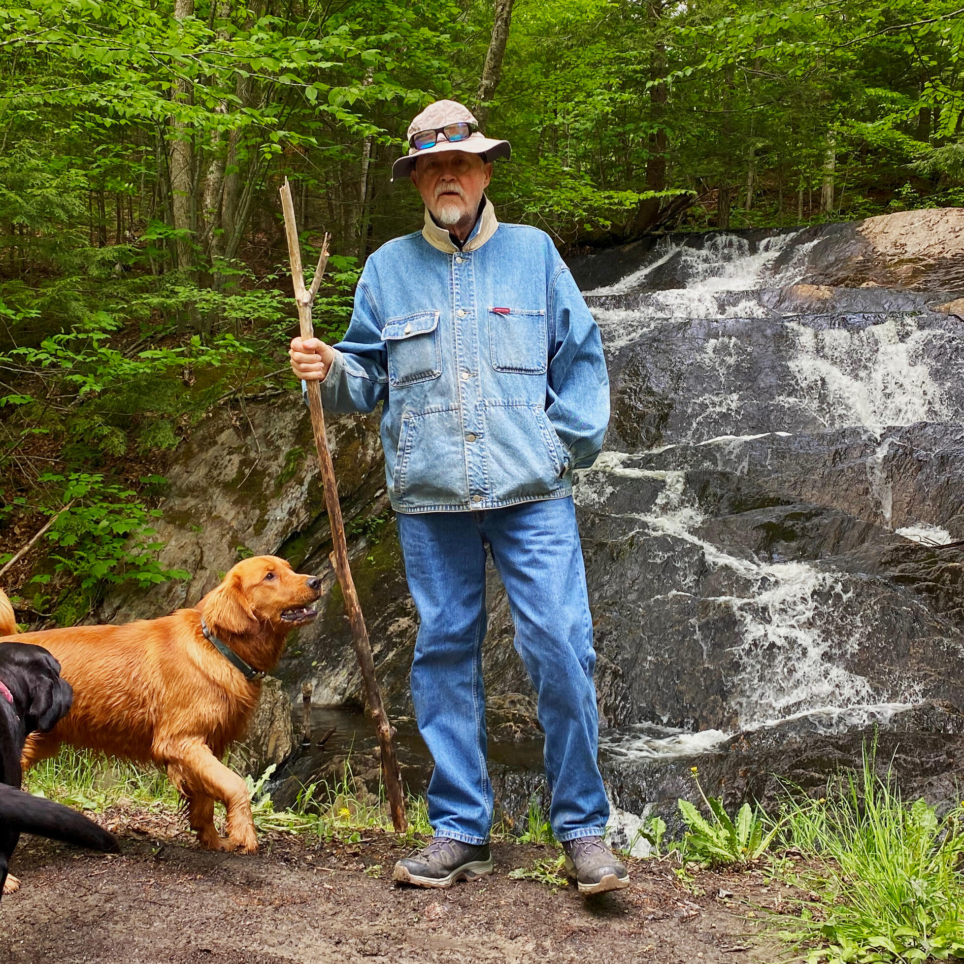 Andre J de Saint Phalle with two retrievers at Reservoir Falls, Johnson Vermont